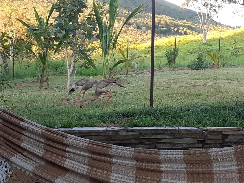 Pirenópolis Fazenda Taruma מראה חיצוני תמונה